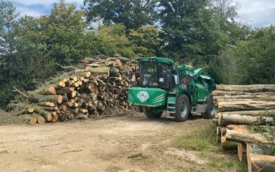 Autreynergy : votre entreprise de broyage forestier à Gray