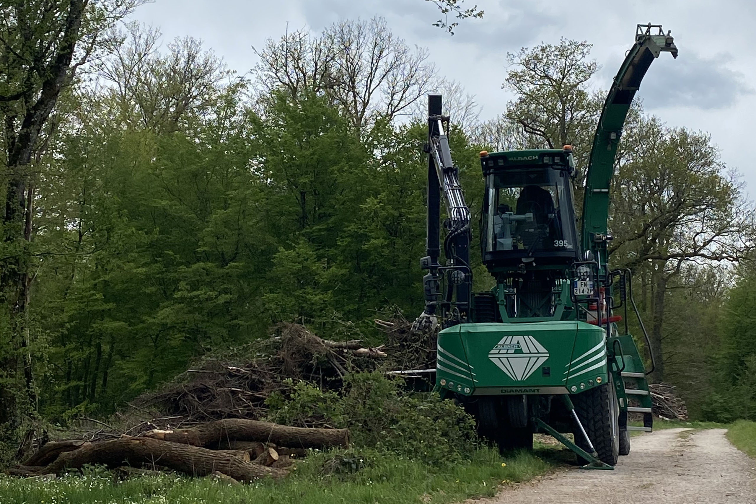 broyage forestier à Dampierre-sur-Salon