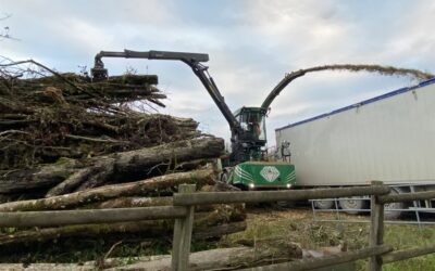 L’utilisation des copeaux de bois à Gray dans les systèmes de chauffage biomasse