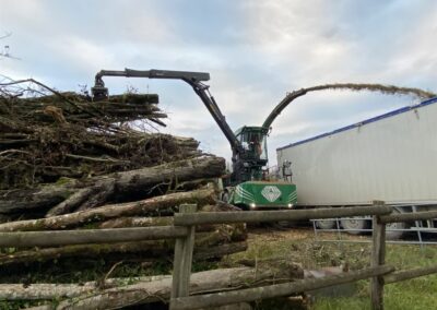 copeaux de bois à Gray